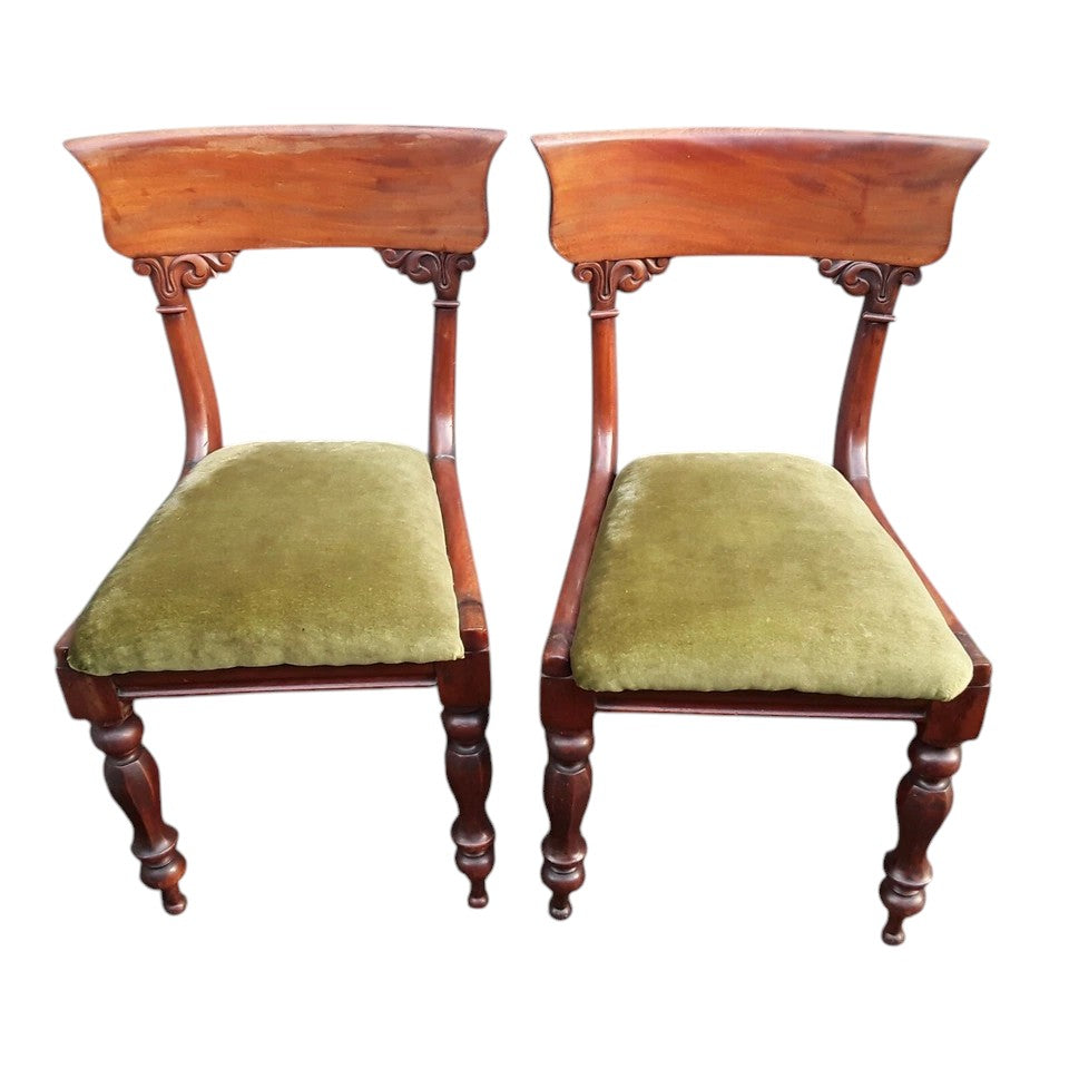 Antique William IV Mahogany Dining Chairs | English 19th Century Pair