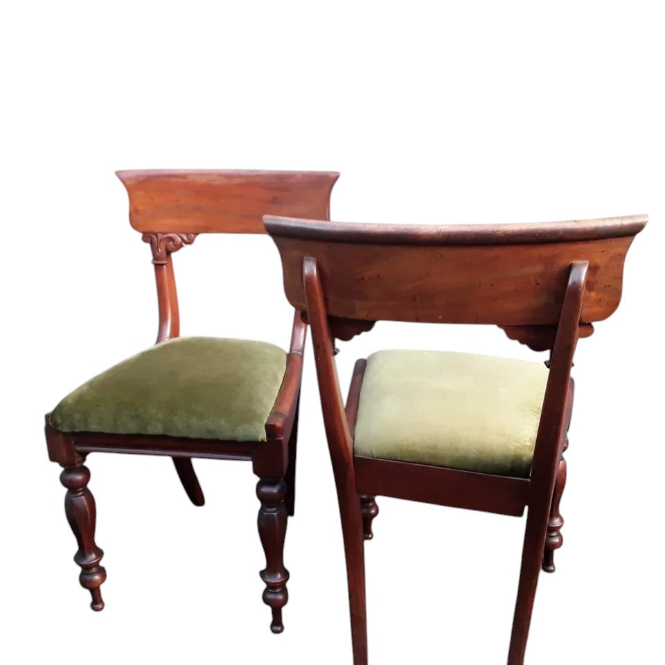 Antique William IV Mahogany Dining Chairs | English 19th Century Pair
